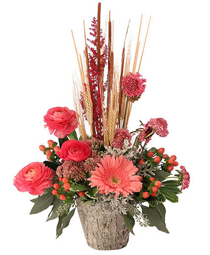'Coral Comforts' Floral Arrangement