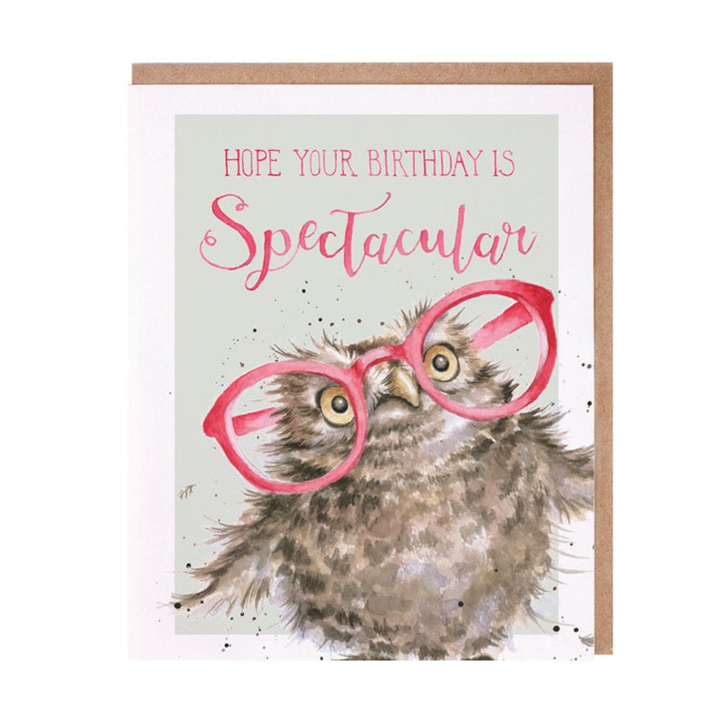 'Spectacular' Owl Birthday Card