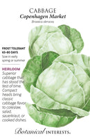 Cabbage - 'Copenhagen Market' Seeds