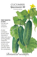 Cucumber - 'Spacemaster 80' Seeds