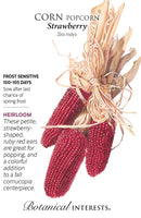 Popcorn Corn - 'Strawberry' Seeds Heirloom