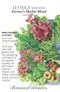 Lettuce Mesclun - 'Farmer's Market Blend' Seeds