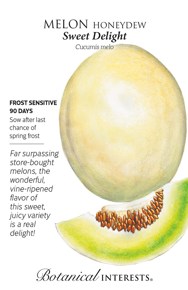 Melon Honeydew - 'Sweet Delight' Seeds