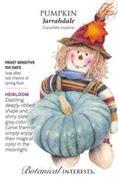 Pumpkin - 'Jarrahdale' Seeds