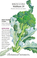 Broccoli - 'Waltham 29' Seeds Heirloom