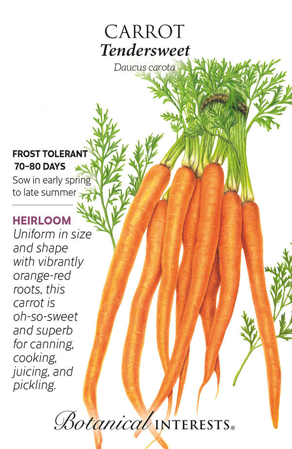 Carrot - 'Tendersweet' Seeds