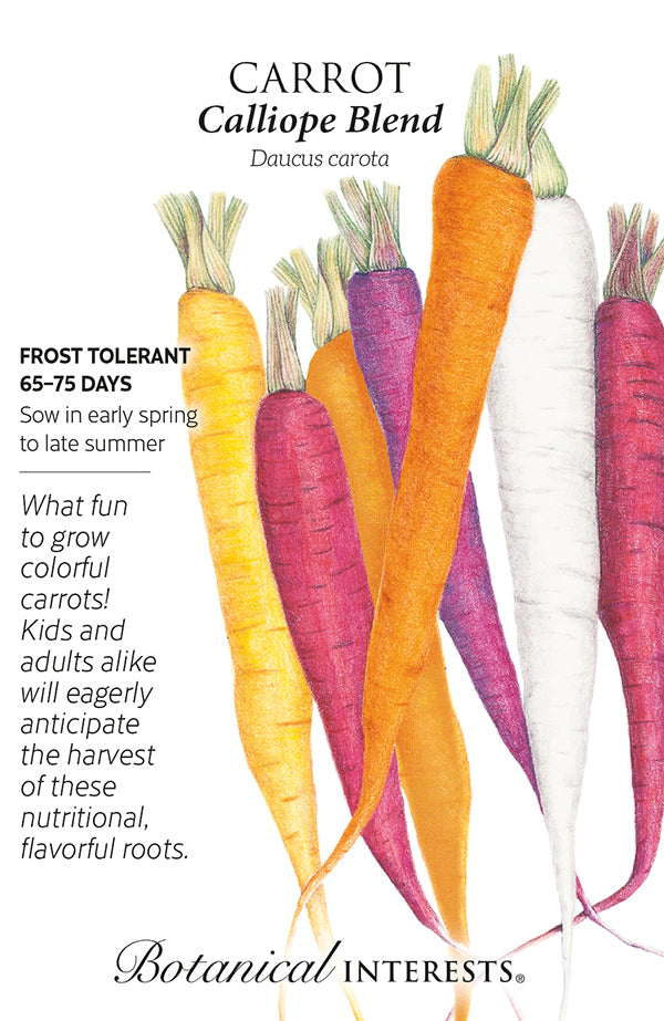 Carrot - 'Calliope Blend' Seeds