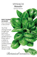 Spinach - 'Matador' Seeds