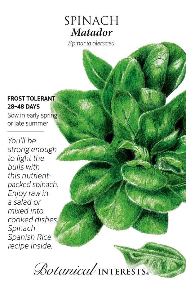 Spinach - 'Matador' Seeds