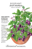 Eggplant - 'Jewel Amethyst' Seeds
