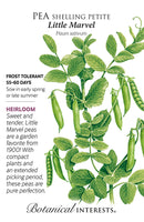 Pea - 'Little Marvel Petite' Shelling Pea Seeds