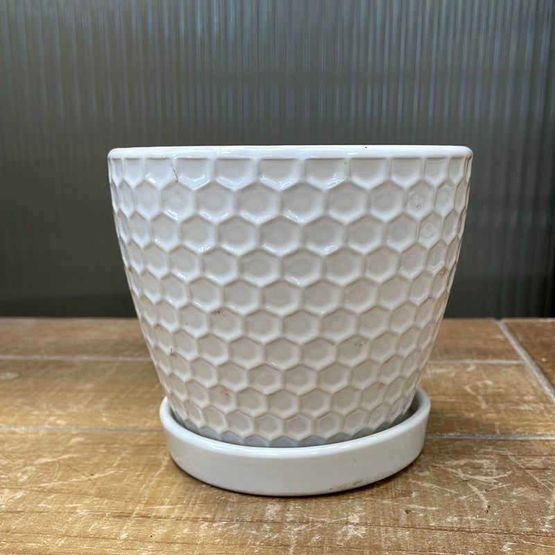 4.5" White Honeycomb Ceramic Pot with Saucer