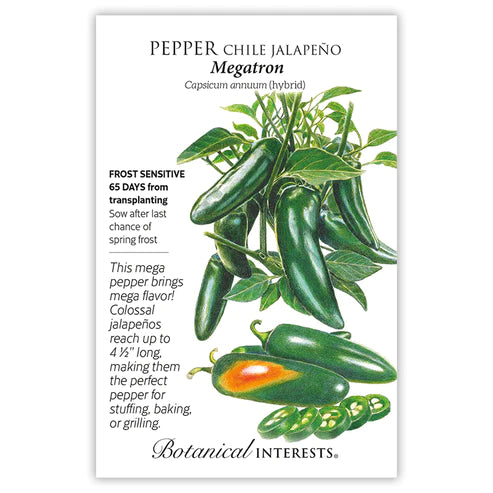 Pepper - 'Megatron Jalapeño Chile' Seeds