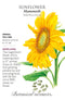Sunflower - 'Mammoth' Seeds