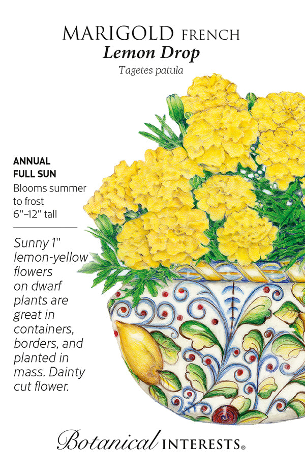 Marigold - French 'Lemon Drop' Seeds