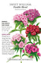 Sweet William - 'Double Blend' Seeds