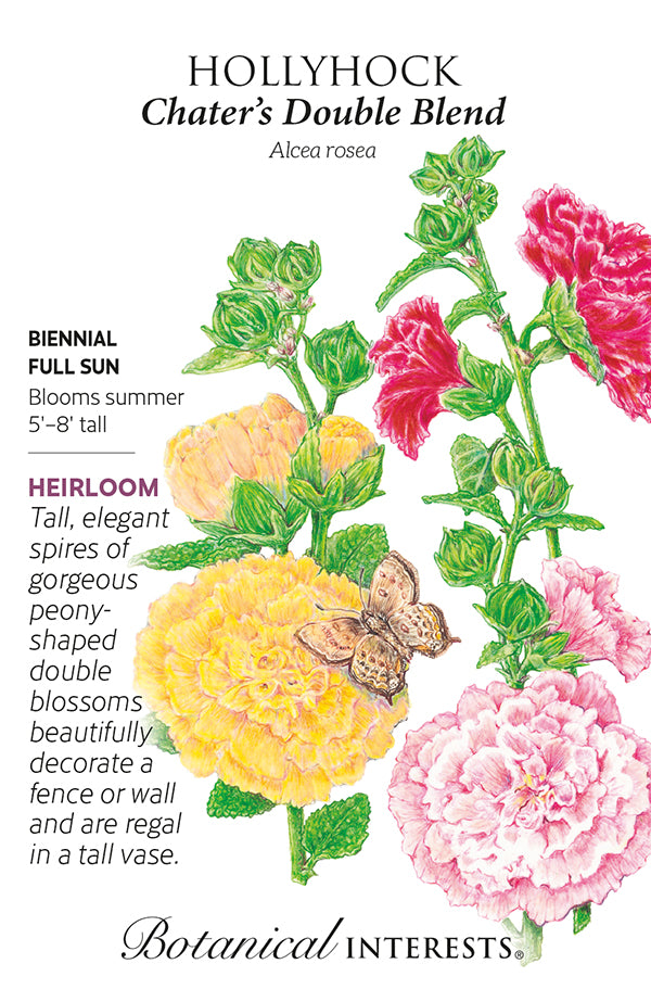 Hollyhock - 'Chater's Double' Seeds