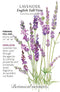 Lavender - 'English Tall/Vera' Seeds