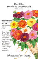 Dahlia - 'Decorative Double Blend' Seeds
