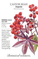 Castor Bean - 'Impala' Seeds