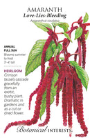 Amaranth - "Love-Lies-Bleeding" Seeds