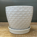 4.5" White Lattice Ceramic Pot with Saucer