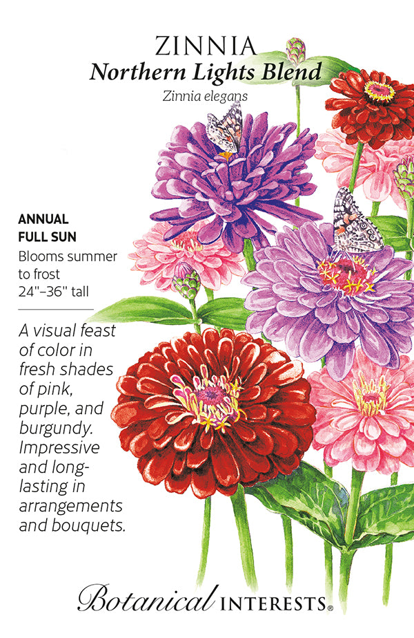 Zinnia - 'Northern Lights Blend' Seeds