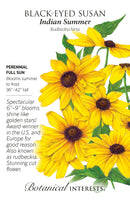 Black-Eyed Susan - 'Indian Summer' Seeds