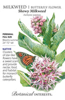 Milkweed/Butterfly Flower - 'Showy' Seeds