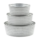 White Washed Dish Garden