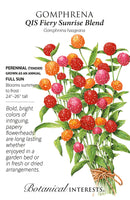 Gomphrena - 'QIS Fiery Sunrise Blend' Seeds