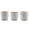 7.5" White Laser Assorted Pots w/Saucer