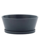 Blue Dish Garden Planter with Saucer