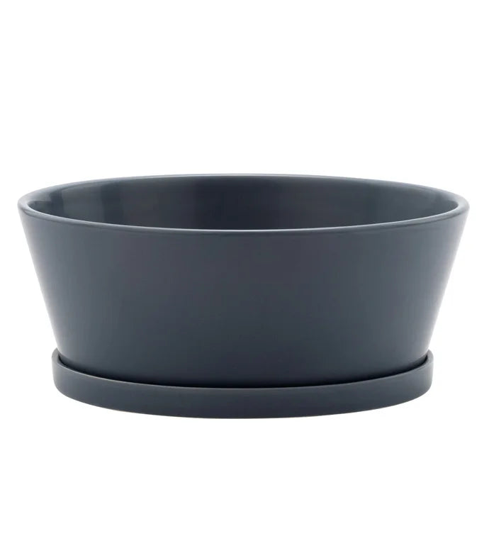 Blue Dish Garden Planter with Saucer