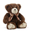 Small Brown Plush Bear