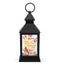 11" Cardinals Appear Sympathy Lantern