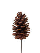 6" Natural Pine Cone Pick