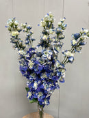 27” Premium Delphinium Bush
