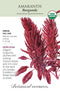 Amaranth - "Burgundy" Seeds Organic