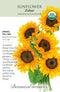 Sunflower - 'Zohar' Seeds Organic