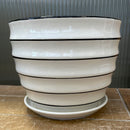 8" White Ribbed Pot w/Saucer