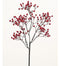 15" Red Mini Water Berry Pick
