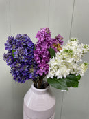 16” Lilac Assorted Colors Bundle