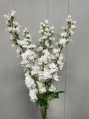 27” Premium Delphinium Bush