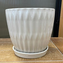 White Diamond Pot with Saucer