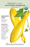 Squash Summer - 'Early Prolific Straightneck' Organic