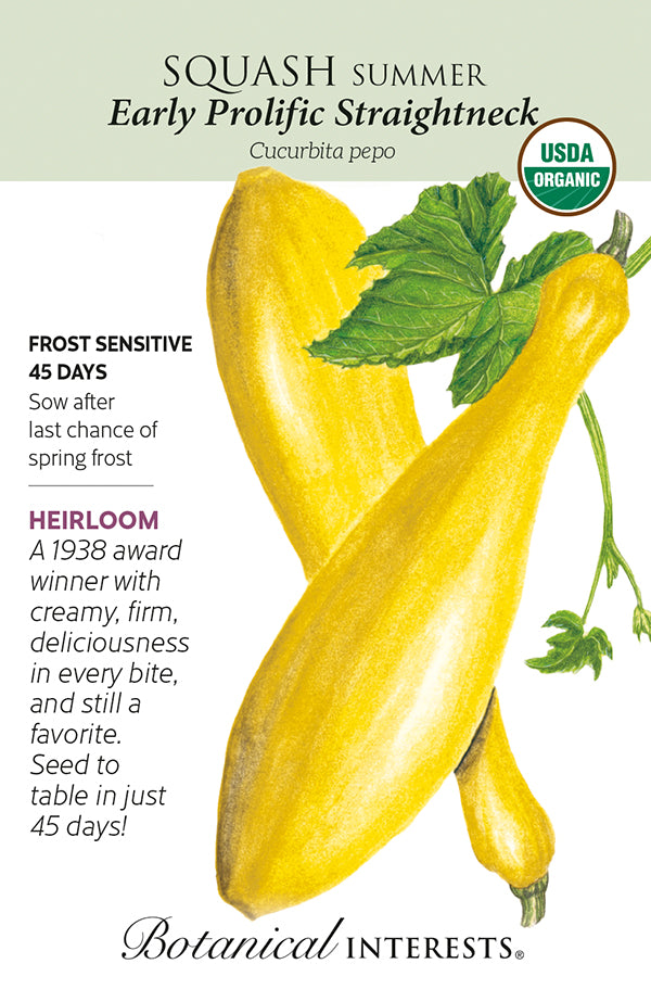 Squash Summer - 'Early Prolific Straightneck' Organic