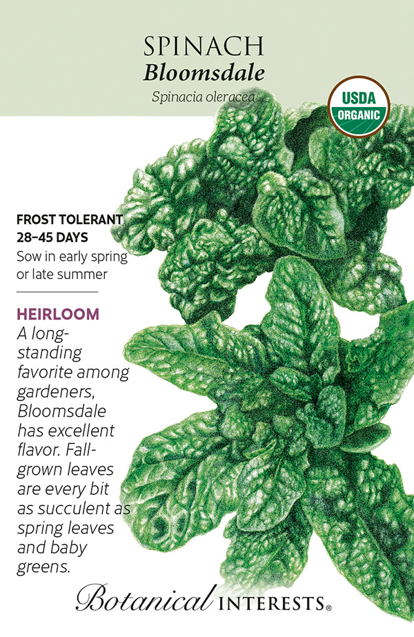 Spinach - 'Bloomsdale' Organic Seeds