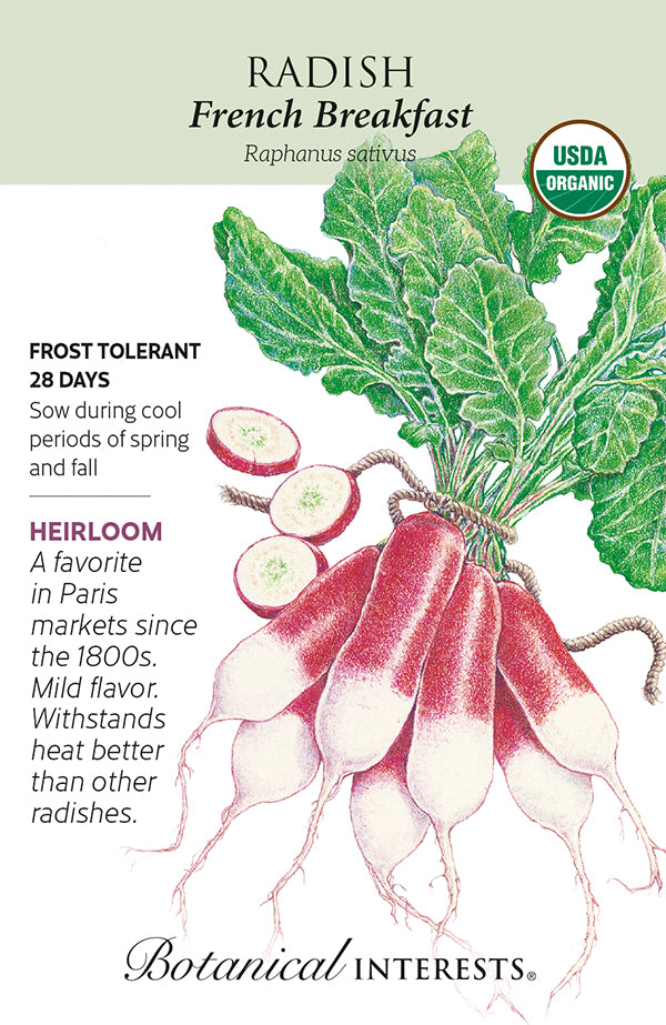 Radish - 'French Breakfast' Organic Seeds