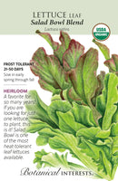 Lettuce Leaf - 'Salad Bowl Blend' Organic